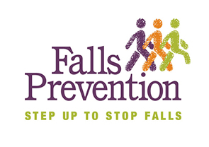 Falls New Logo