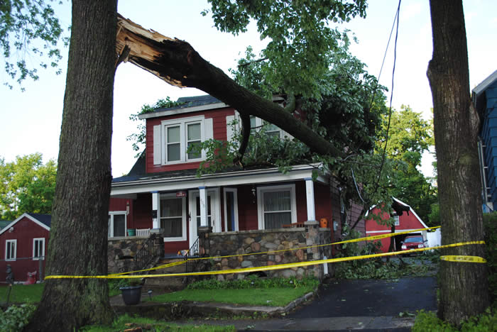 Storm Damage