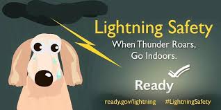 Image result for when thunder roars go indoors