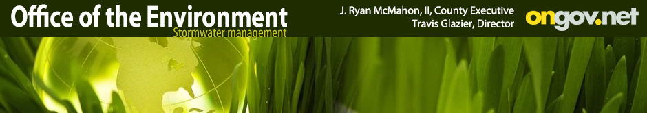 header graphic