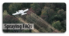 Spraying FAQs