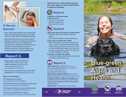 Blue-green Algae and Health Brochure