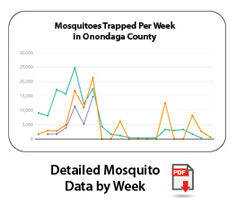 Mosquito Data