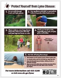 Lyme Prevention Flyer