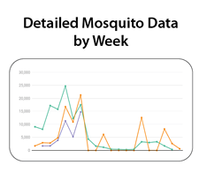 MBD Data