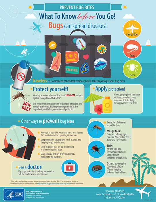 Infographic about preventing bug bites