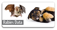 Rabies Data