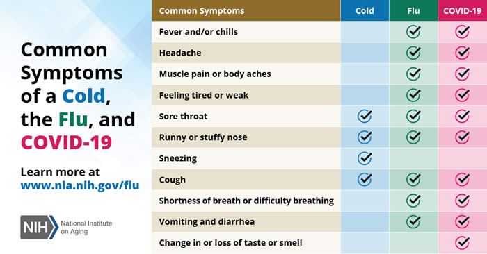 Cold, flu, or covid