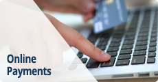 Online Payments