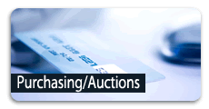 Auction information