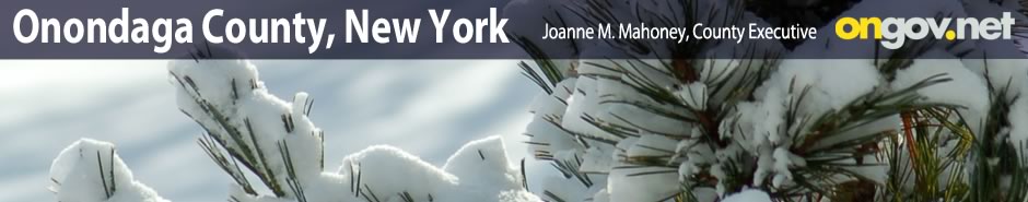 header graphic