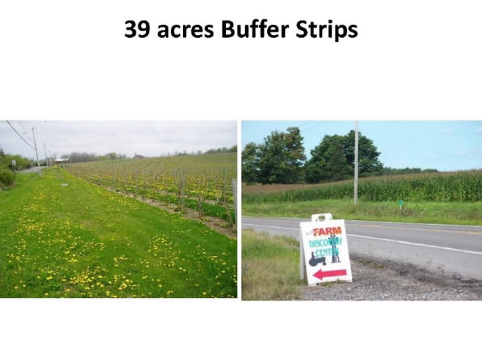 39 Acres Buffer Strips