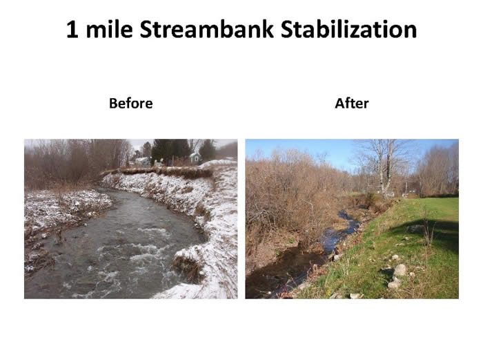 1 mile streambank stabilization