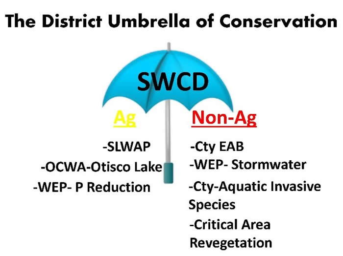 Umbrella of Conservations