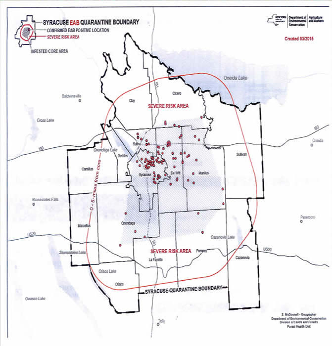 Syracuse EAB Quarantine Boundary