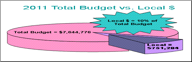 Mental Health Budget 30