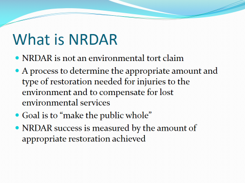 WHAT IS NRDAR