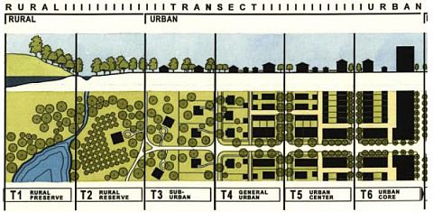 Transect