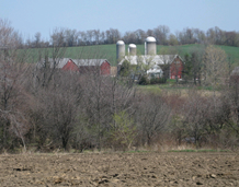 Masters Farm