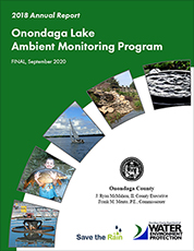 Onondaga Lake Progress Report 2018