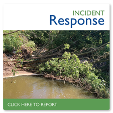 Words say incident report in green and blue on white over a picture of a fallen tree blocking a stream with the words Click Here to Report in white on green at the bottom