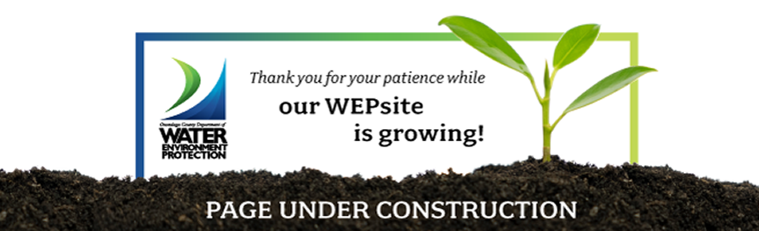 Our WEPsite is growing! Page under construction.